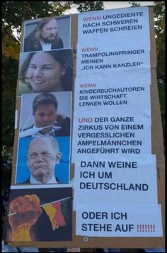 12 Annalena baerbockIdeen politischer humor, politische zitate