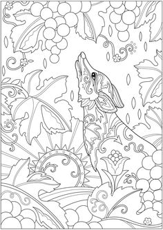 Creative Haven Fanciful Foxes Coloring Book Welcome To Dover Publications