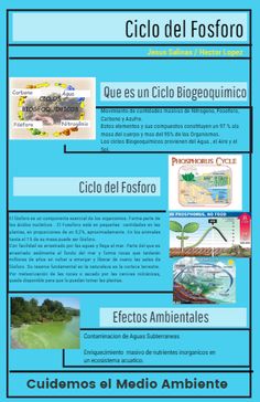 32 Ideas De Ciclos Biogequimicos Química Ciclo Del Nitrógeno Ciclo Del Carbono