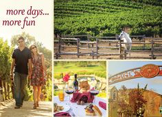 33 Best Autumnfest Images On Temecula Valley Labour Day There Are Loads Of Things To Do In Temecula Valley During Autumnfest