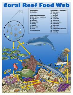251 best marine bio