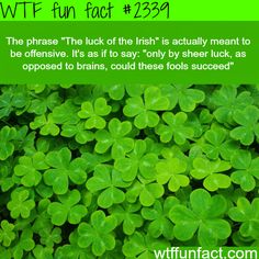 The Luck Of The Irish Meaning Wtf Fun Facts Funny Fun Facts The Luck Of The Irish Meaning Wtf Fun Facts Funny Fun Facts