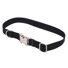 X-Small Chain and Dark Green Nylon Hamilton 3//8 by 10 to 14-Inch Adjustable Combo Choke Dog Collar