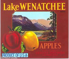 LAKE CHELAN Vintage Washington Apple Crate Label **AN ORIGINAL LABEL** Scenic LAKE CHELAN Vintage Washington Apple Crate Label **AN ORIGINAL LABEL** Scenic