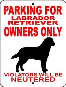 16 Best Labrador Retriever Signs Images Dog 16 Best Labrador Retriever Signs Images