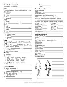 nursing assessment sheet