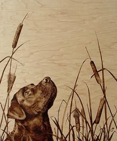 13 Best Woodburning Art Favs Images Wood Burning A Black Labrador Dog Poses In This Photorealistic Wood Burning Art Work By Julie Bender Mayhem Muse