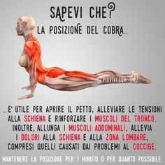 cerco consigli per massaggio prostata e positivo mi