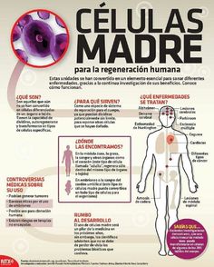 tratamiento capilar celulas madre diabetes