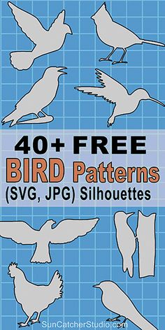 Sizzix Thinlits Cutting Die Stencil Emboss FREE BIRD 2pk 661242
