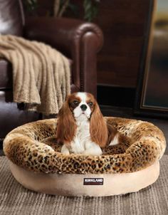 this kirkland signature pet bed features a foam-filled base that this kirkland signature pet bed features a foam-filled base that