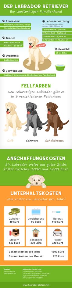 Gemütlicher Ganzkörper Pullover für kleine Hunderassen Gemütlicher Ganzkörper Pullover für kleine Hunderassen
