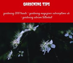 gardening tips_14_20180711081157_23 olive garden potatoes soup gardening naturally cirencester restaurants and pubs - Olive Garden Peoria Il gardening tips_14_20180711081157_23 olive garden potatoes soup gardening naturally cirencester restaurants and pubs - Olive Garden Peoria Il