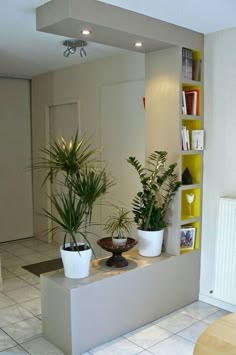 estante divisória shelves in