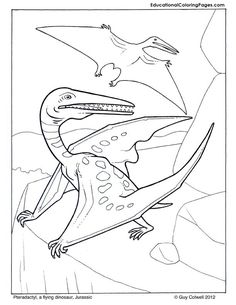 Pteradactyl Coloring Pages Dinosaur Pictures