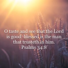 Best Bible Quotes About Love Beauteous We Ought Also To Love One Another Bible Verse Scripture Best Bible Quotes About Love Inspiration We Ought Also To Love One Another Bible Verse Scripture