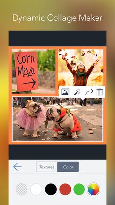 collaging software