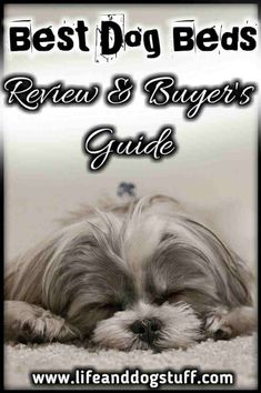 11 Top 10 Best Dog Pillows in 2019 images 11 Top 10 Best Dog Pillows in 2019 images