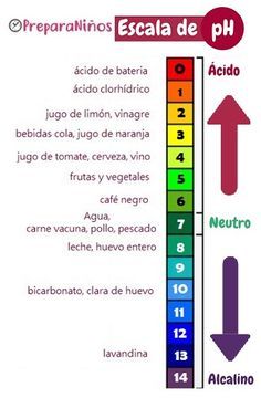 Pin En Microbiología