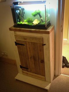 26 best aquascape plants
