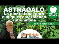 Mas perez agusti 200 plantas adolfo las eficaces medicinales