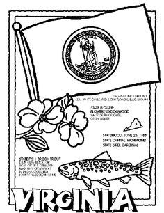 9 Best Va Homeschooling Images Virginia History Stus Virginia State Symbol Coloring Page By Crayola Print Or Color Online Stus