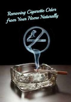Natural Way To Get Rid Of Cigarette Smell In House Natural Way To Get Rid Of Cigarette Smell In House