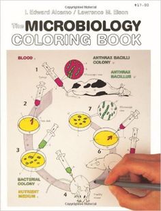 The Microbiology Coloring Book 9780060419257 Medicine Health Science Books Amazon