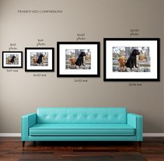 pin by little blue canoe photography llc on displaying your