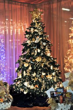 heaven and nature sing sponsor fred meyer decorator kay hoover providence festival of trees - Fred Meyer Christmas Trees heaven and nature sing sponsor fred meyer decorator kay hoover providence festival of trees - Fred Meyer Christmas Trees