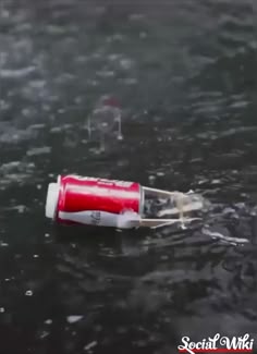 Lauren a húsvéti randevúktól