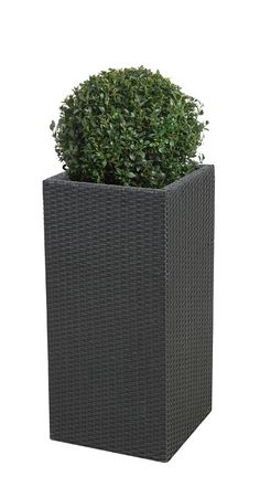 23 beste afbeeldingen van Leen Bakker Le Sud Winactie Tuin Le Sud partytent Calida + 4 zijwanden | Zijwand, Prieel, Buiten