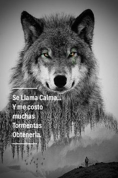 44 Ideas De Frases Frases Bonitas Frases Frases Motivadoras