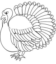 Kindness Coloring Pages Images Wild TurkeyColoring