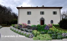 23 fantastiche immagini in creare il proprio giardino con lavande ... Progettare un giardino gratis