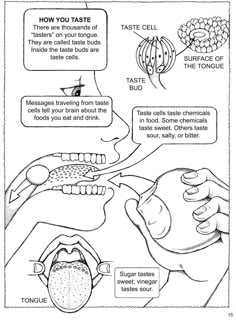 Welcome To Dover Publications