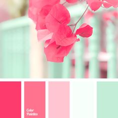 4562 Best Color Combinations Inspiring Images In 2019 Paint Color Palette 1353