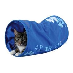 Jouet herbe aux chats chat Jouet pour chat avec de lherbe /à chat et des plumes jouet chat panda Coussin /à lherbe aux chats