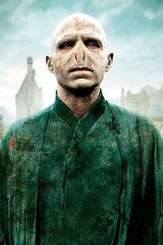 423 best lord voldemort