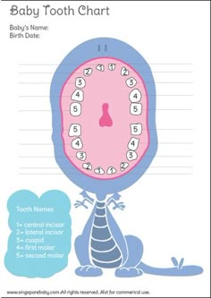baby tooth chart