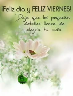 25 Ideas De Amar En 2021 Frases Espirituales Frases De Sabiduria Frases Bonitas