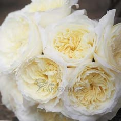 open garden spray rosesthis variety we will use often has open garden spray rosesthis variety we will use often has