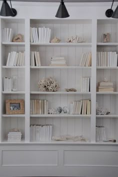 164 Best Bookcases And Shelves Images In 2019 Bookshelves Diy It Is Impressive For Its Quaint Flavor Going Out Of Simplicity Design