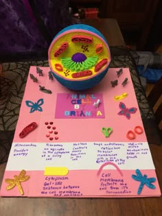 Plant and animal cell essay