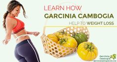 Nutrasun Garcinia Cambogia Bewertungen