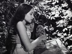 Olivia hussey short skirt Speaking, opinion, Olivia hussey short skirt apologise