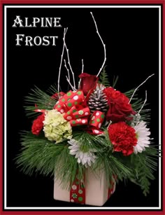 Christmas Arrangement By Jerrys Flowers Christmas Flower Arrangements Christmas Flowers Christmas Ideas Floral Christmas Arrangement By Jerrys Flowers Christmas Flower Arrangements Christmas Flowers Christmas Ideas Floral