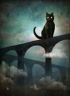 840 Idees De Dessins De Chats Dessin Chat Illustration De Chat Chat 840 Idees De Dessins De Chats Dessin Chat Illustration De Chat Chat
