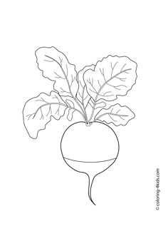 Fruit And Vegetables Coloring Pages
