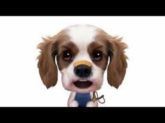 Chanson Bon Anniversaire Chanson Bon Anniversaire Joyeux Anniversaire Chien Anniversaire Chien Chanson Bon Anniversaire Chanson Bon Anniversaire Joyeux Anniversaire Chien Anniversaire Chien